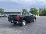 2024 Ford F-150 Regular Cab 4WD, Pickup for sale #T40447 - photo 9