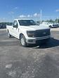 2024 Ford F-150 Regular Cab RWD, Pickup for sale #T40475 - photo 3