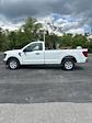 2024 Ford F-150 Regular Cab RWD, Pickup for sale #T40476 - photo 12