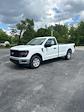 2024 Ford F-150 Regular Cab RWD, Pickup for sale #T40476 - photo 14