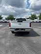 2024 Ford F-150 Regular Cab RWD, Pickup for sale #T40476 - photo 9