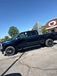 2024 Ford F-250 Crew Cab 4x4, Pickup for sale #T40641 - photo 7