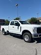 2024 Ford F-250 Regular Cab 4x2, Pickup for sale #T40657 - photo 3