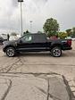 2024 Ford F-150 SuperCrew Cab 4x4, Pickup for sale #T40883 - photo 10