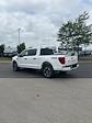 New 2024 Ford F-150 STX SuperCrew Cab 4WD, Pickup for sale #T40909 - photo 9