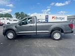 New 2024 Ford F-150 XL Regular Cab RWD, Pickup for sale #T40954 - photo 7