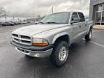 2002 Dodge Dakota, Pickup for sale #T41143C1 - photo 10