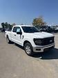 2024 Ford F-150 Super Cab 4x4, Pickup for sale #T41194 - photo 7