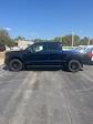 2024 Ford F-150 SuperCrew Cab 4x4, Pickup for sale #T41219 - photo 8