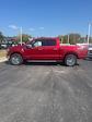 2024 Ford F-150 SuperCrew Cab 4x4, Pickup for sale #T41221 - photo 8