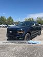 2024 Ford F-150 SuperCrew Cab 4x4, Pickup for sale #T41247 - photo 1