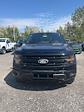 2024 Ford F-150 SuperCrew Cab 4x4, Pickup for sale #T41247 - photo 3