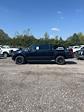 2024 Ford F-150 SuperCrew Cab 4x4, Pickup for sale #T41247 - photo 8