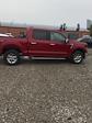 2024 Ford F-150 SuperCrew Cab 4x4, Pickup for sale #T41289 - photo 11