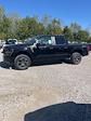 2024 Ford F-150 SuperCrew Cab 4x4, Pickup for sale #T41293 - photo 8