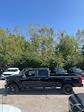 2024 Ford F-350 Crew Cab SRW 4x4, Pickup for sale #T41390 - photo 11