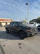 2024 Ford F-150 SuperCrew Cab 4x4, Pickup for sale #T41568 - photo 4