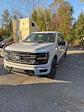 2024 Ford F-150 SuperCrew Cab 4x4, Pickup for sale #T41583 - photo 3