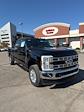 2024 Ford F-350 Crew Cab SRW 4x4, Pickup for sale #T41604 - photo 9