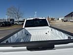 2024 Ford F-350 Crew Cab DRW 4x4, Pickup for sale #T41607 - photo 12