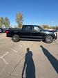 2024 Ford F-150 Lightning SuperCrew Cab AWD, Pickup for sale #T41626 - photo 5