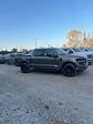 2024 Ford F-150 SuperCrew Cab 4x4, Pickup for sale #T41654 - photo 5