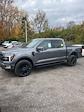 2024 Ford F-150 SuperCrew Cab 4x4, Pickup for sale #T41668 - photo 3