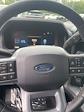 2024 Ford F-150 SuperCrew Cab 4x4, Pickup for sale #T41679 - photo 20