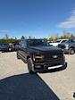 2024 Ford F-150 SuperCrew Cab 4x4, Pickup for sale #T41700 - photo 8