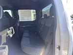 2024 Ford F-150 SuperCrew Cab 4x4, Pickup for sale #T41716 - photo 11