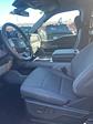 2024 Ford F-150 SuperCrew Cab 4x4, Pickup for sale #T41721 - photo 17