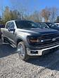 2024 Ford F-150 SuperCrew Cab 4x4, Pickup for sale #T41721 - photo 3