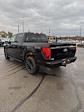 2024 Ford F-150 SuperCrew Cab 4x4, Pickup for sale #T41723 - photo 2