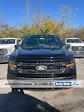 2024 Ford F-150 SuperCrew Cab 4x4, Pickup for sale #T41724 - photo 1