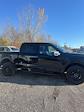 2024 Ford F-150 SuperCrew Cab 4x4, Pickup for sale #T41724 - photo 4