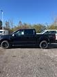 2024 Ford F-150 SuperCrew Cab 4x4, Pickup for sale #T41724 - photo 7