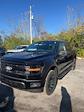 2024 Ford F-150 SuperCrew Cab 4x4, Pickup for sale #T41724 - photo 8