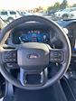 2024 Ford F-150 SuperCrew Cab 4x4, Pickup for sale #T41726 - photo 16