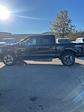 2024 Ford F-150 SuperCrew Cab 4x4, Pickup for sale #T41726 - photo 7