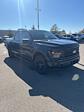 2024 Ford F-150 SuperCrew Cab 4x4, Pickup for sale #T41727 - photo 5