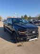 2024 Ford F-150 SuperCrew Cab 4x4, Pickup for sale #T41736 - photo 6