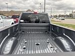 2024 Ford F-350 Crew Cab DRW 4x4, Pickup for sale #T41756 - photo 12