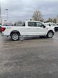 2024 Ford F-150 SuperCrew Cab 4x4, Pickup for sale #T41778 - photo 15