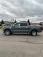 2024 Ford F-150 SuperCrew Cab 4x4, Pickup for sale #T41810 - photo 11