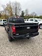 2024 Ford F-150 SuperCrew Cab 4x4, Pickup for sale #T41818 - photo 2