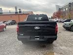 2024 Ford F-150 SuperCrew Cab 4x4, Pickup for sale #T41827 - photo 7