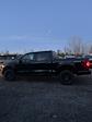 2024 Ford F-150 SuperCrew Cab 4x4, Pickup for sale #T41828 - photo 11