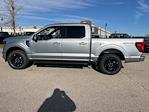 2024 Ford F-150 SuperCrew Cab 4x4, Pickup for sale #T41834 - photo 12