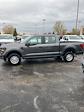 2024 Ford F-150 SuperCrew Cab 4x4, Pickup for sale #T41837 - photo 4