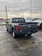 2024 Ford F-150 SuperCrew Cab 4x4, Pickup for sale #T41837 - photo 2